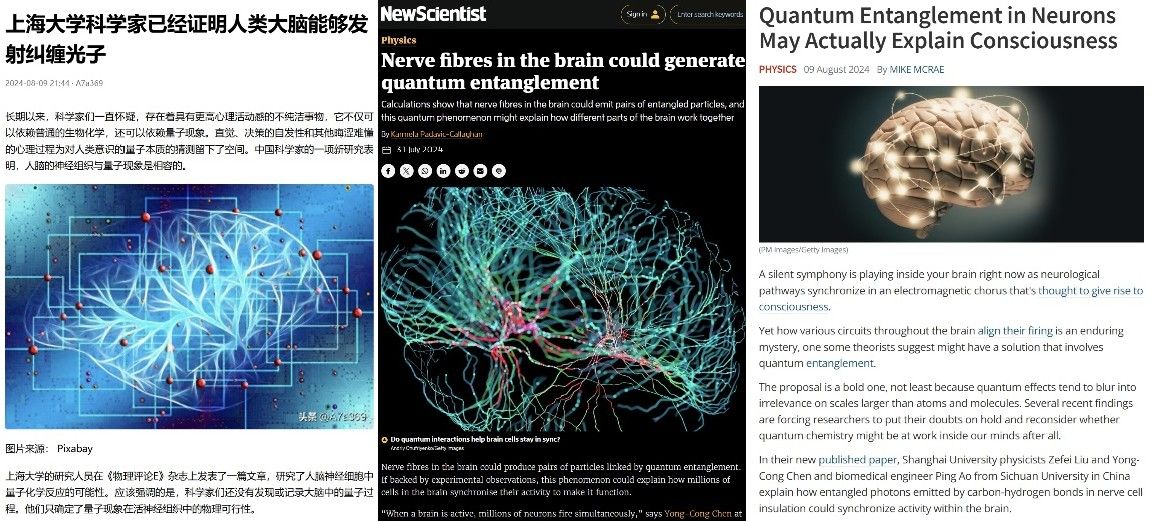 20240814-1.jpg 20240814-1.jpg